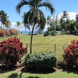  Appartement Parfum Des Iles - Vue Mer, A 30m Et Piscine En Option